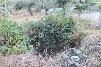 Terreno Agricola ou Rústico para Venda em Póvoa de Rio de Moinhos e Cafede