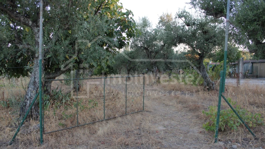 Terreno Agricola ou Rústico para Venda em Póvoa de Rio de Moinhos e Cafede
