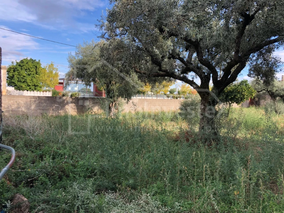 Terreno para Venda em Lardosa Foto 5