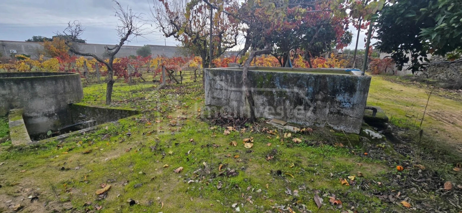 Terreno Agricola ou Rústico para Venda em Alcains Foto 8