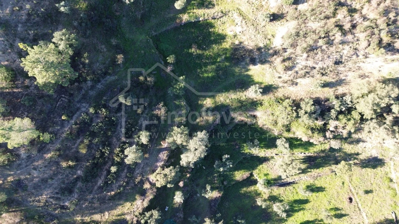 Terreno para Venda em Salgueiro do Campo Foto 5