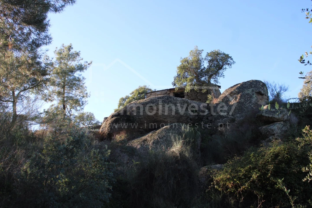 Terreno para Venda em Salgueiro do Campo Foto 16
