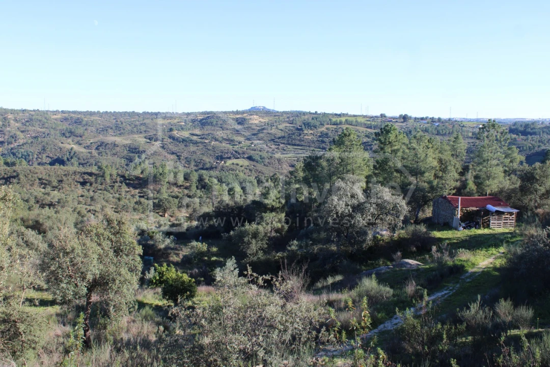 Terreno para Venda em Salgueiro do Campo Foto 21