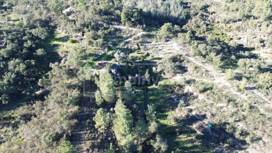 Terreno para Venda em Salgueiro do Campo Foto 2