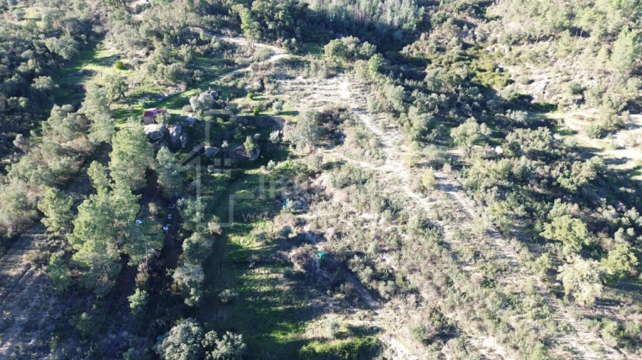 Terreno para Venda em Salgueiro do Campo Foto 3
