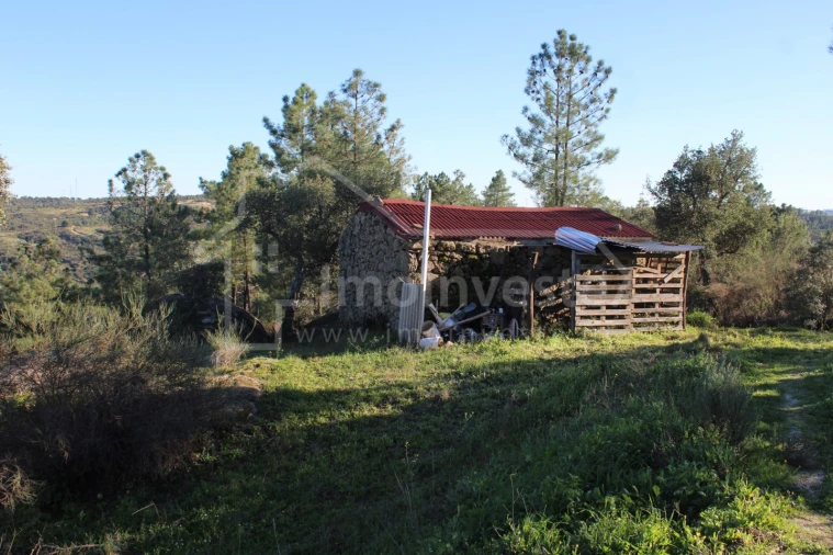 Terreno para Venda em Salgueiro do Campo Foto 13