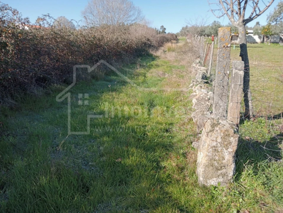 Terreno Agricola ou Rústico para Venda em Ninho do Açor e Sobral do Campo Foto 1