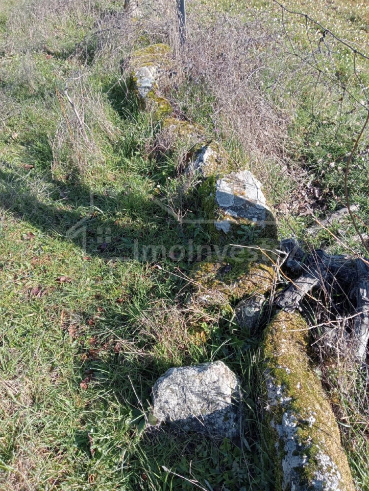 Terreno Agricola ou Rústico para Venda em Ninho do Açor e Sobral do Campo Foto 6