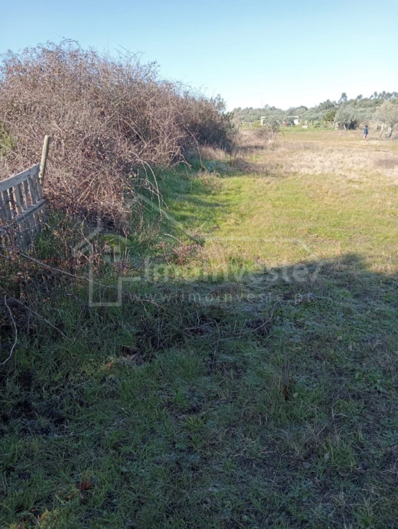Terreno Agricola ou Rústico para Venda em Ninho do Açor e Sobral do Campo Foto 7