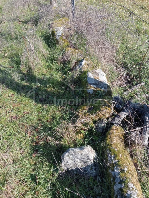 Terreno Agricola ou Rústico para Venda em Ninho do Açor e Sobral do Campo
