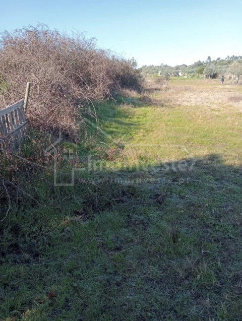 Terreno Agricola ou Rústico para Venda em Ninho do Açor e Sobral do Campo
