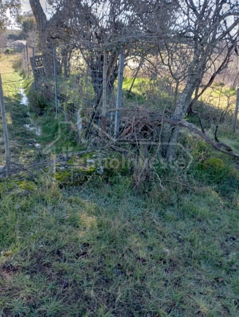 Terreno Agricola ou Rústico para Venda em Ninho do Açor e Sobral do Campo