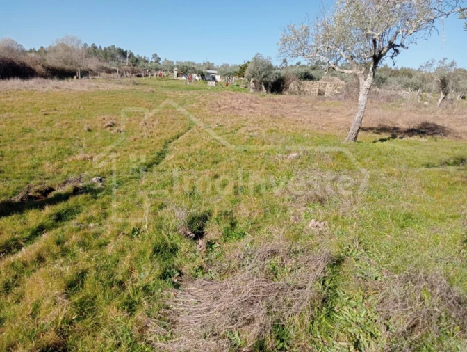 Terreno Agricola ou Rústico para Venda em Ninho do Açor e Sobral do Campo Foto 10