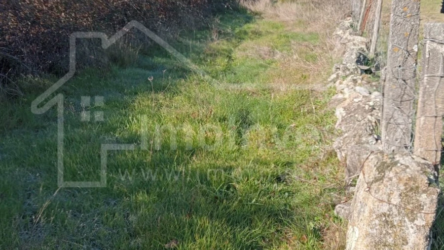 Terreno Agricola ou Rústico para Venda em Ninho do Açor e Sobral do Campo