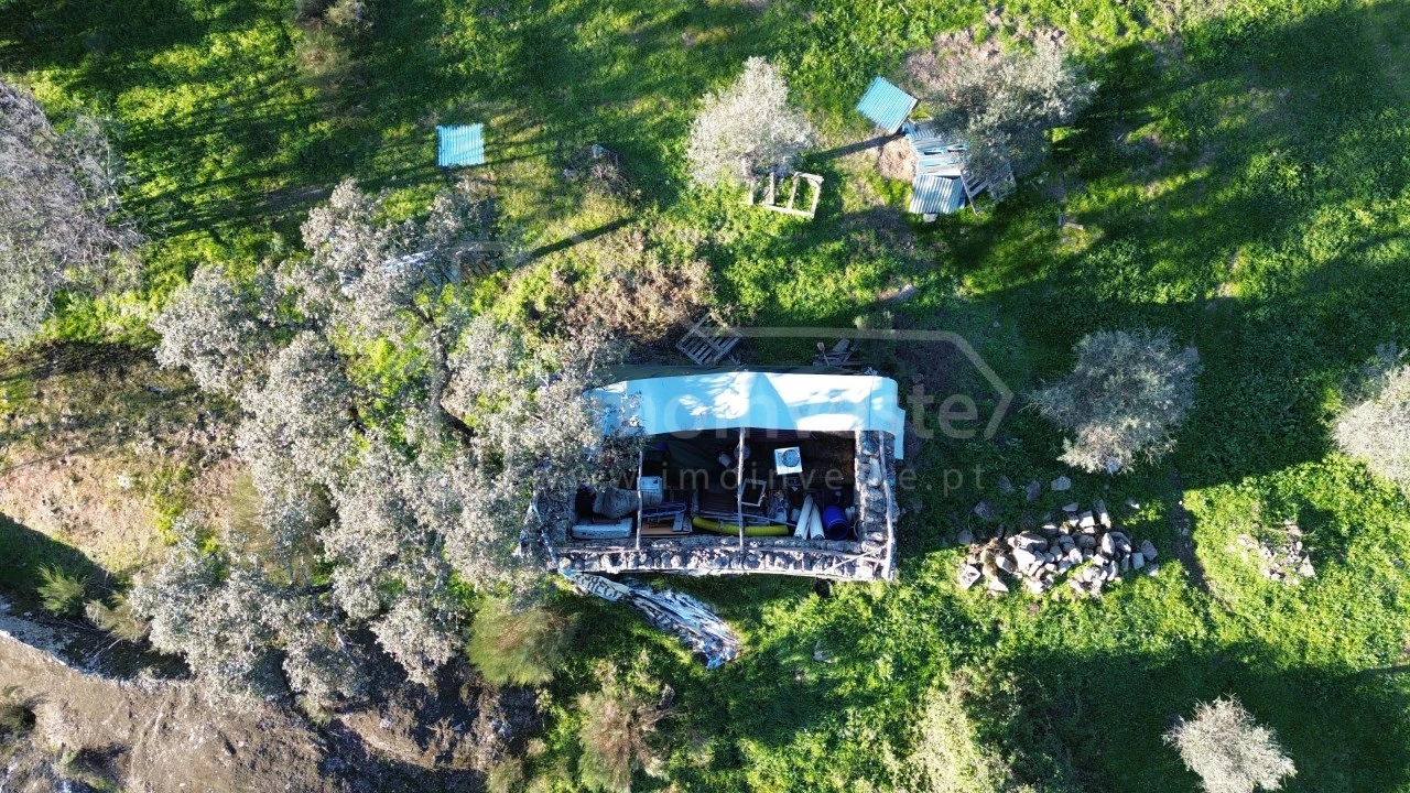 Terreno para Venda em Escalos de Baixo e Mata Foto 7