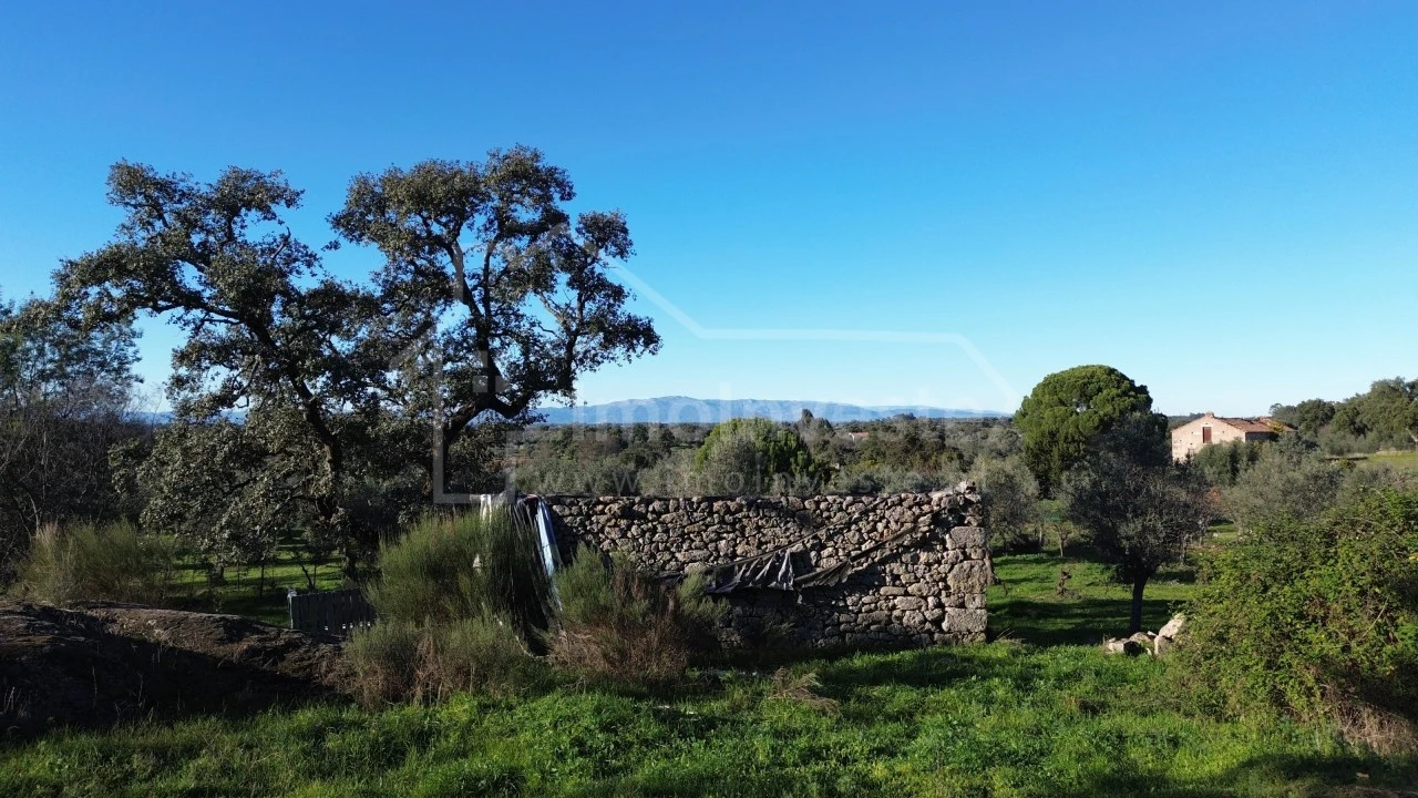 Terreno para Venda em Escalos de Baixo e Mata Foto 8