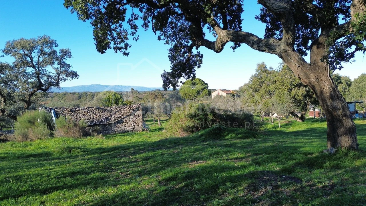 Terreno para Venda em Escalos de Baixo e Mata Foto 9