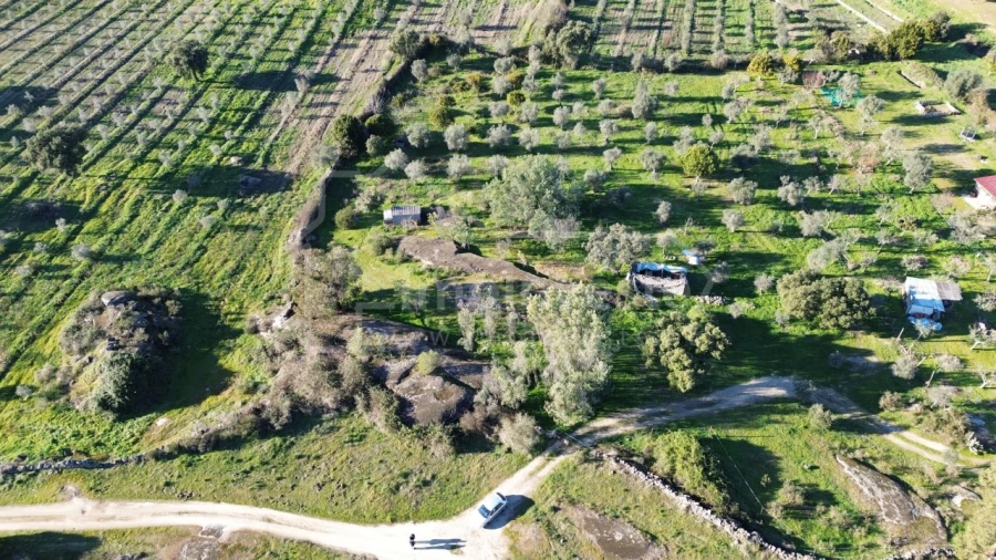 Terreno para Venda em Escalos de Baixo e Mata Foto 2