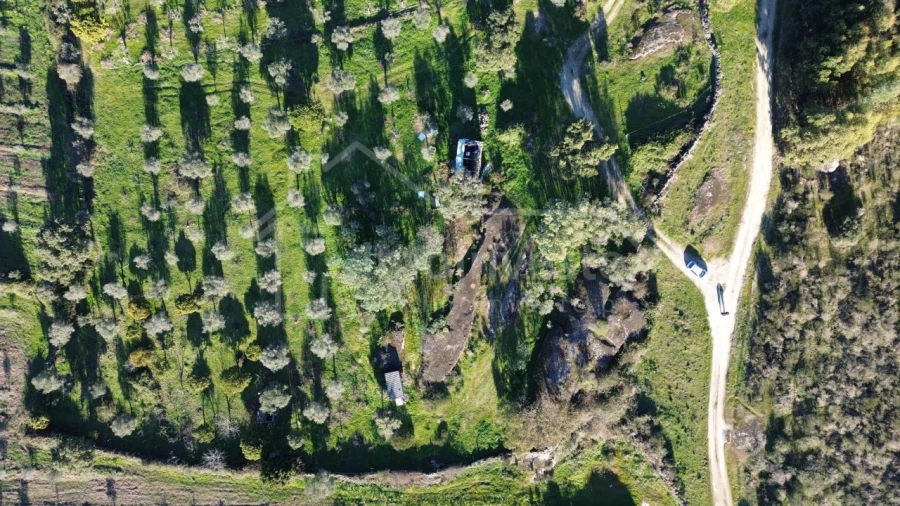 Terreno para Venda em Escalos de Baixo e Mata Foto 3