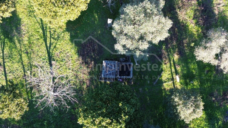 Terreno para Venda em Escalos de Baixo e Mata Foto 5