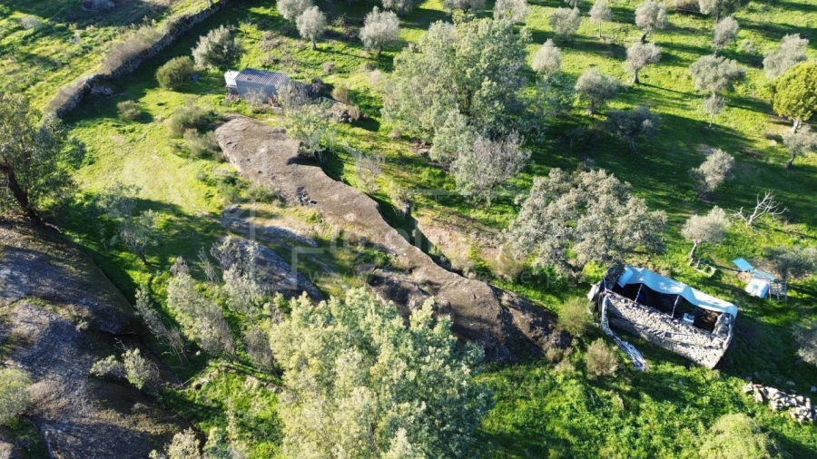 Terreno para Venda em Escalos de Baixo e Mata Foto 10