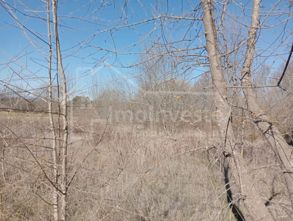 Terreno Agricola ou Rústico para Venda em Ninho do Açor e Sobral do Campo Foto 3
