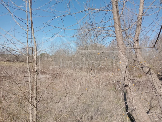 Terreno Agricola ou Rústico para Venda em Ninho do Açor e Sobral do Campo Foto 3