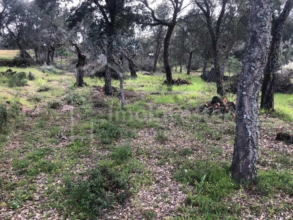 Terreno Agricola ou Rústico para Venda em Tinalhas Foto 7