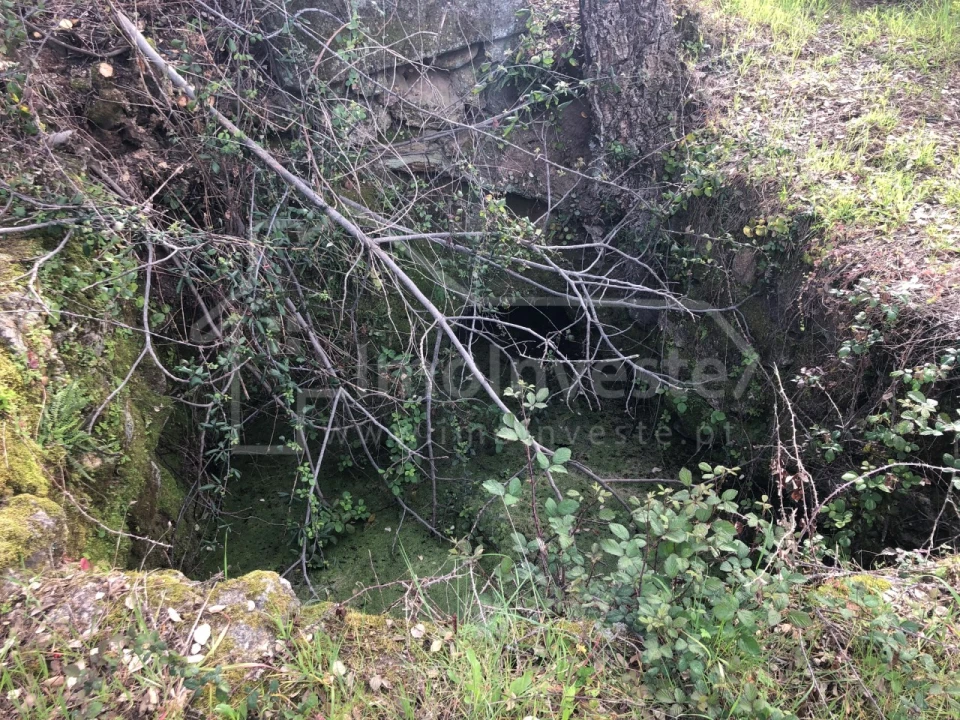 Terreno Agricola ou Rústico para Venda em Tinalhas Foto 8