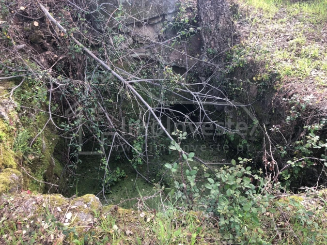 Terreno Agricola ou Rústico para Venda em Tinalhas Foto 8
