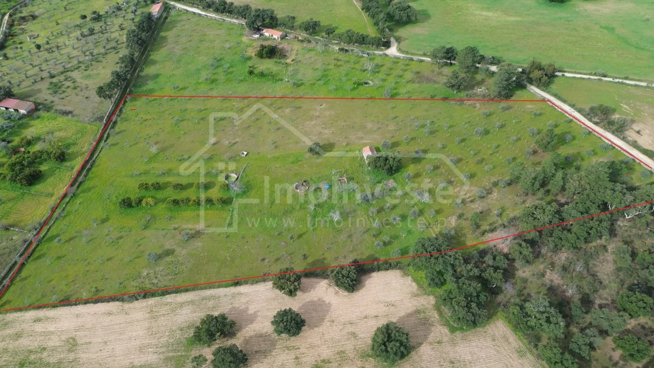Terreno Agricola ou Rústico para Venda em Póvoa de Rio de Moinhos e Cafede Foto 1