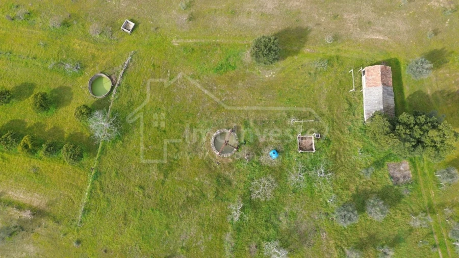 Terreno Agricola ou Rústico para Venda em Póvoa de Rio de Moinhos e Cafede Foto 4