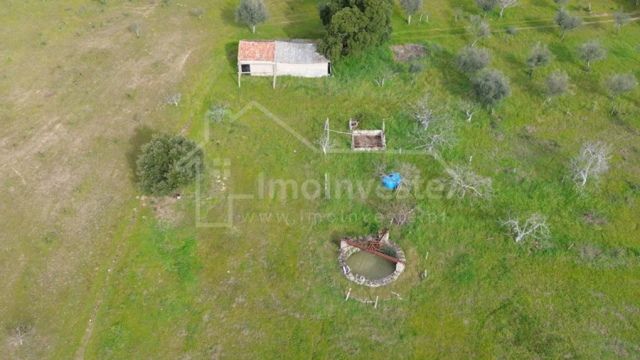 Terreno Agricola ou Rústico para Venda em Póvoa de Rio de Moinhos e Cafede Foto 6