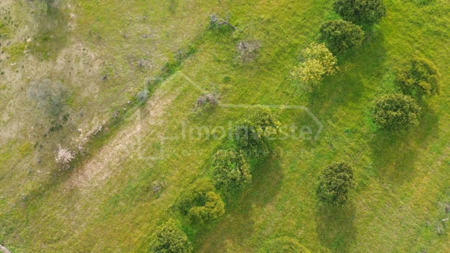 Terreno Agricola ou Rústico para Venda em Póvoa de Rio de Moinhos e Cafede Foto 7