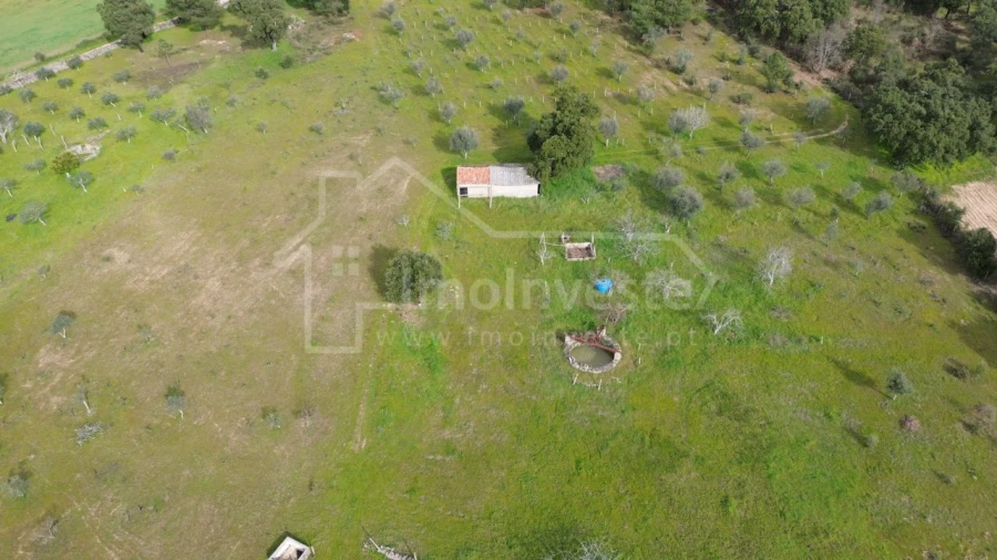 Terreno Agricola ou Rústico para Venda em Póvoa de Rio de Moinhos e Cafede Foto 10