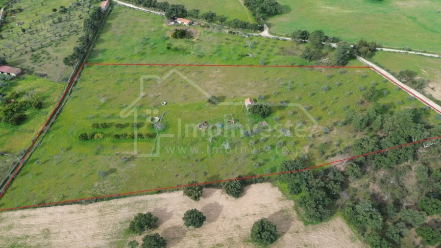 Terreno Agricola ou Rústico para Venda em Póvoa de Rio de Moinhos e Cafede