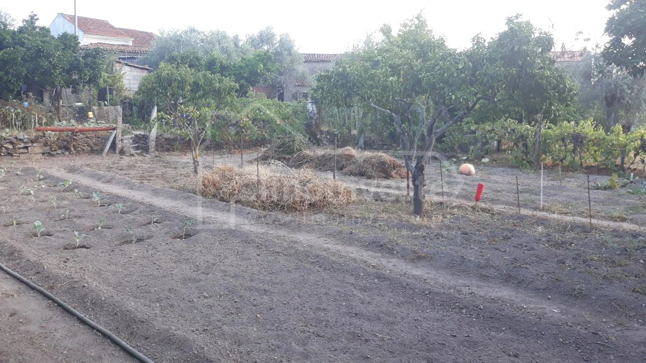 Terreno para Venda em Alcains Foto 1