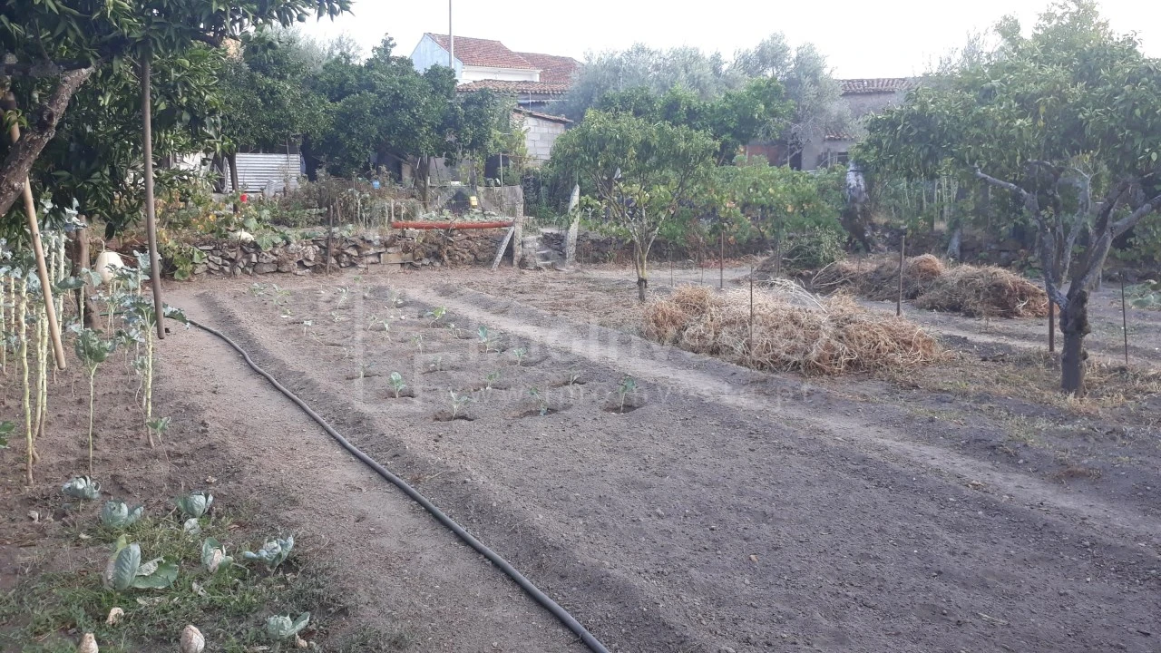 Terreno para Venda em Alcains Foto 2