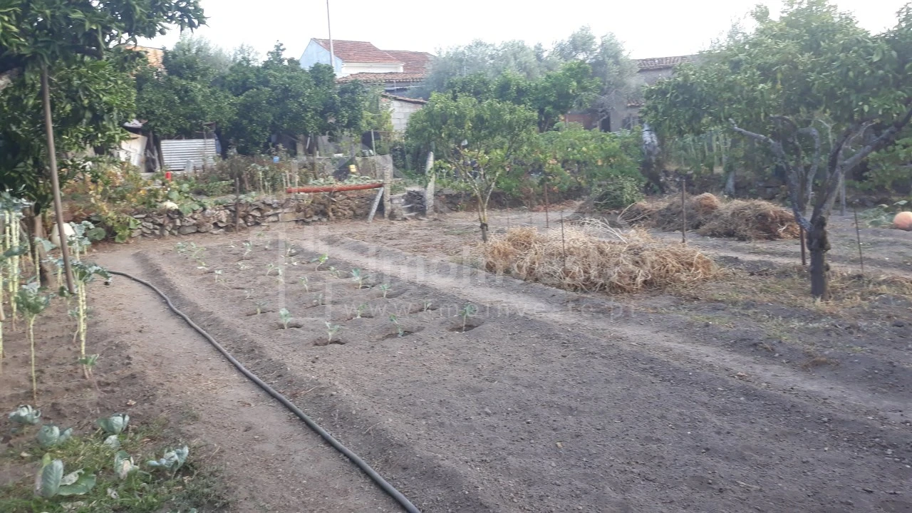 Terreno para Venda em Alcains Foto 6