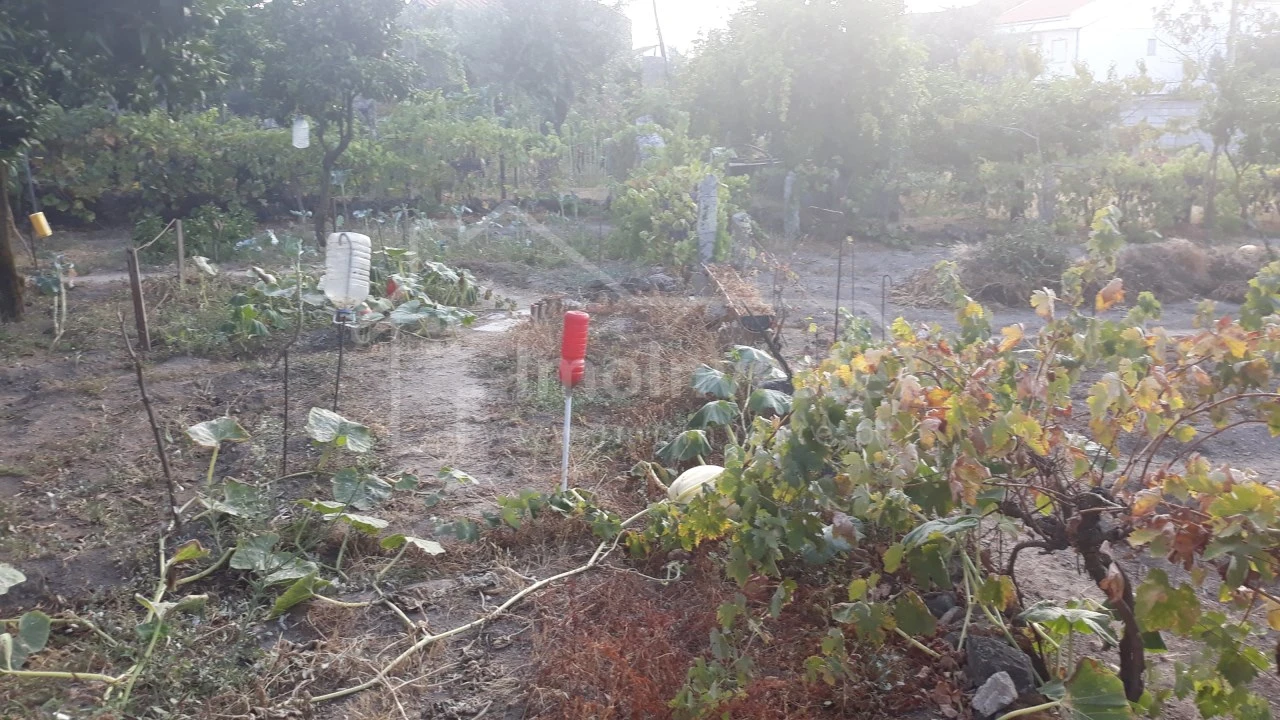 Terreno para Venda em Alcains Foto 8