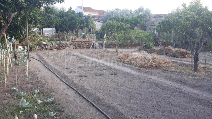 Terreno para Venda em Alcains Foto 2