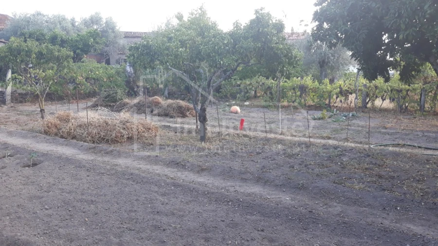 Terreno para Venda em Alcains Foto 4