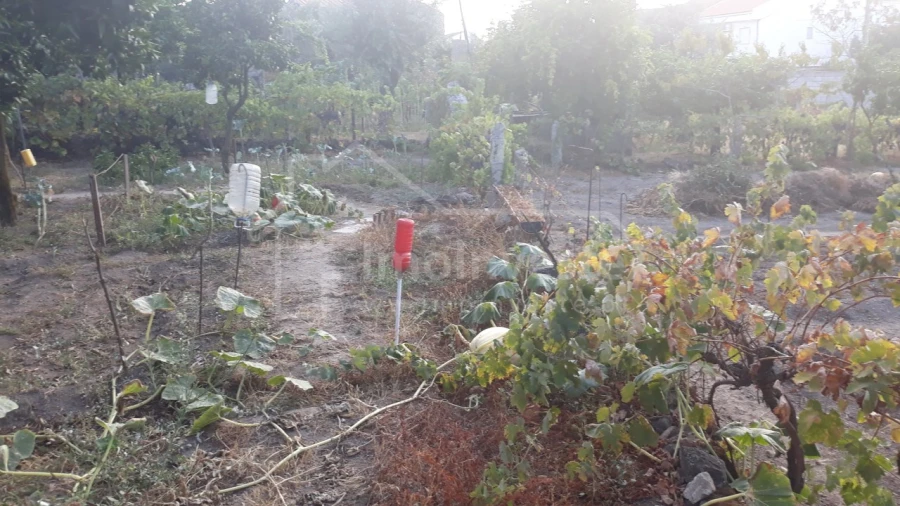 Terreno para Venda em Alcains Foto 8