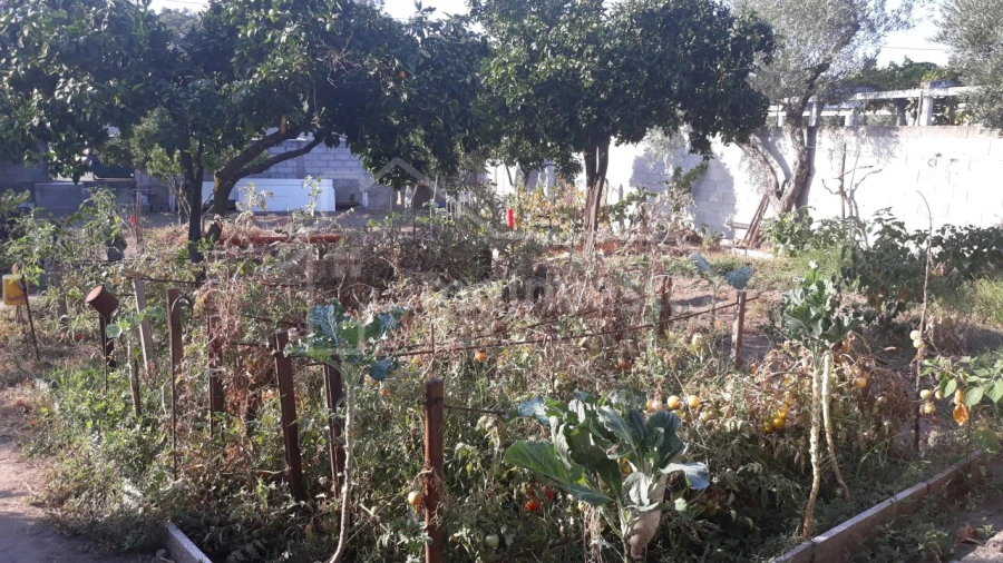 Terreno para Venda em Alcains Foto 12