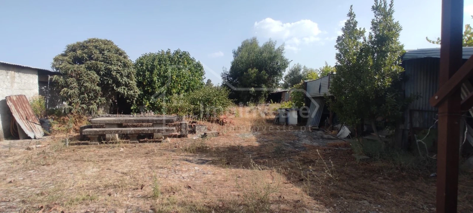 Terreno para Venda em Alcains Foto 2