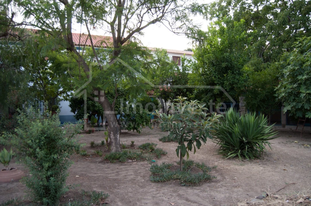 Moradia T8 para Venda em Idanha-A-Nova e Alcafozes Foto 8