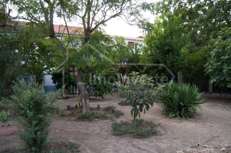 Moradia T8 para Venda em Idanha-A-Nova e Alcafozes Foto 8