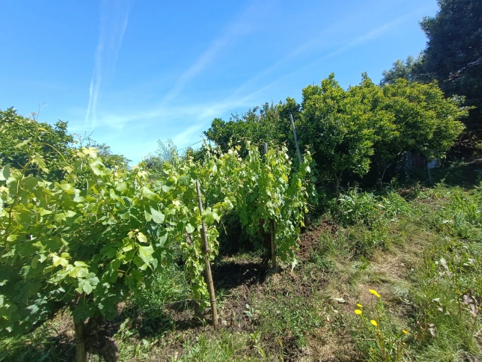 Moradia T3 para Venda em Fontes Foto 14