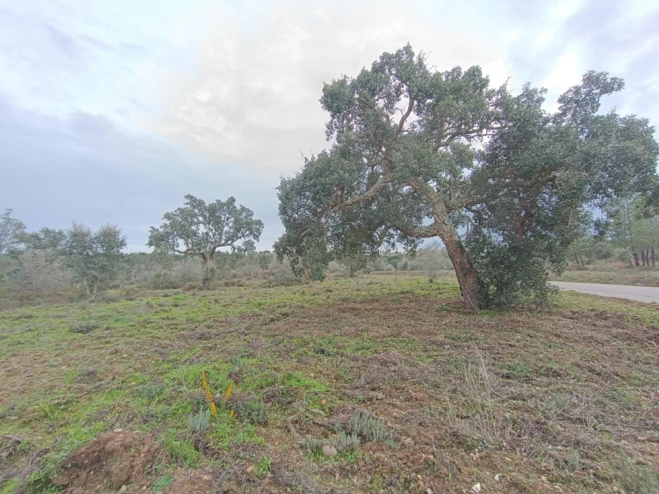 Quinta para Venda em Bemposta Foto 7