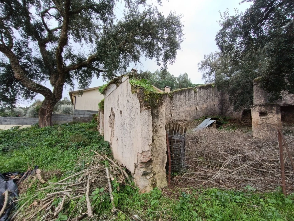 Quinta para Venda em Bemposta Foto 12